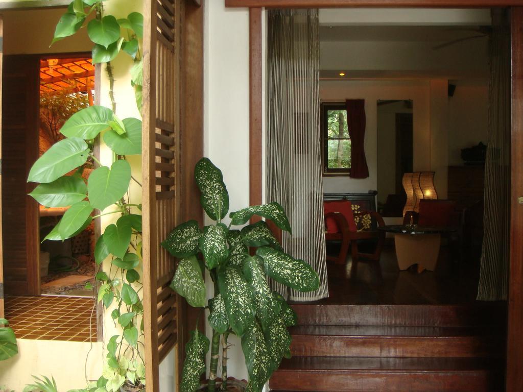 Bed and Breakfast La Cigale Тао Номер фото
